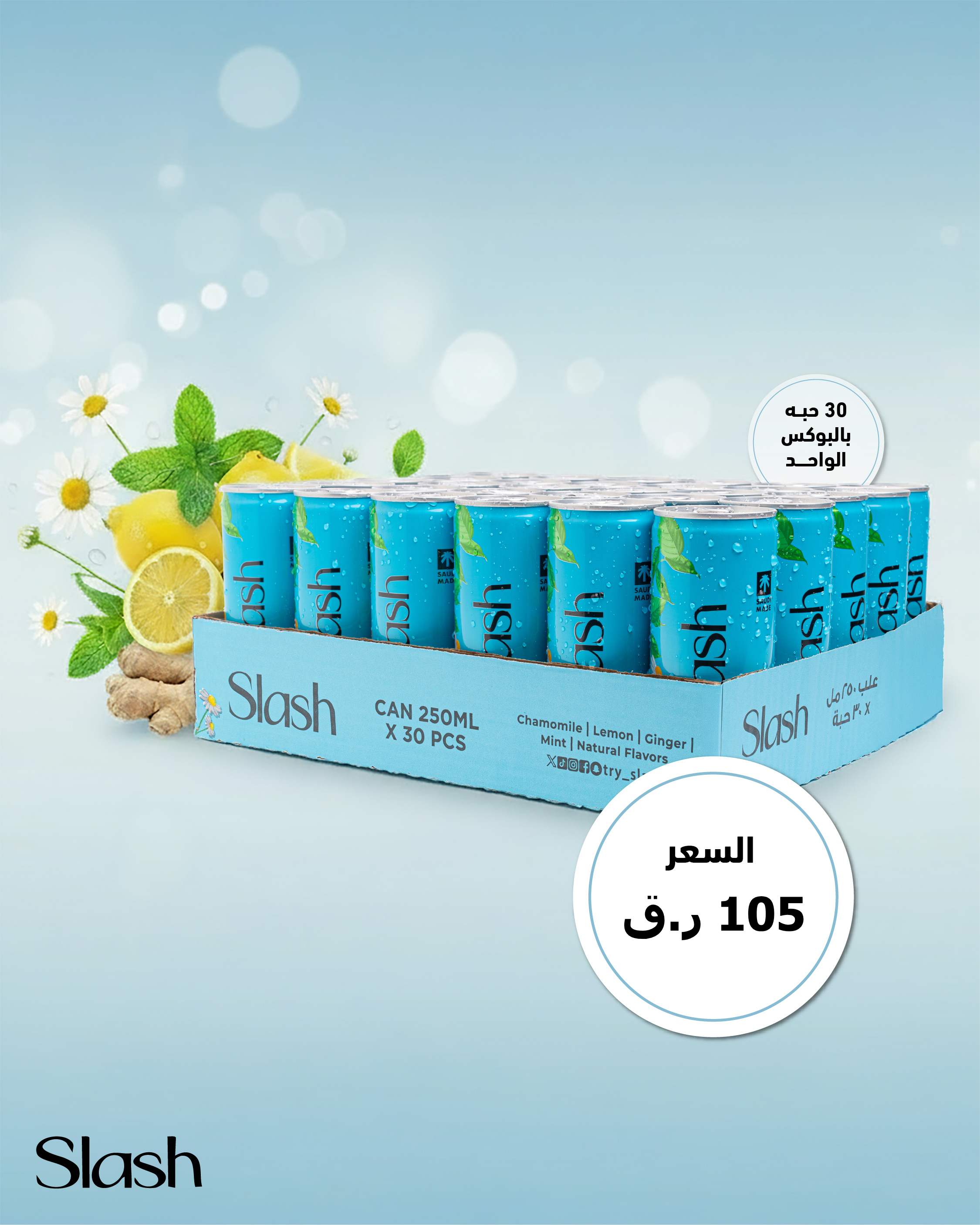 بوكس سلاش